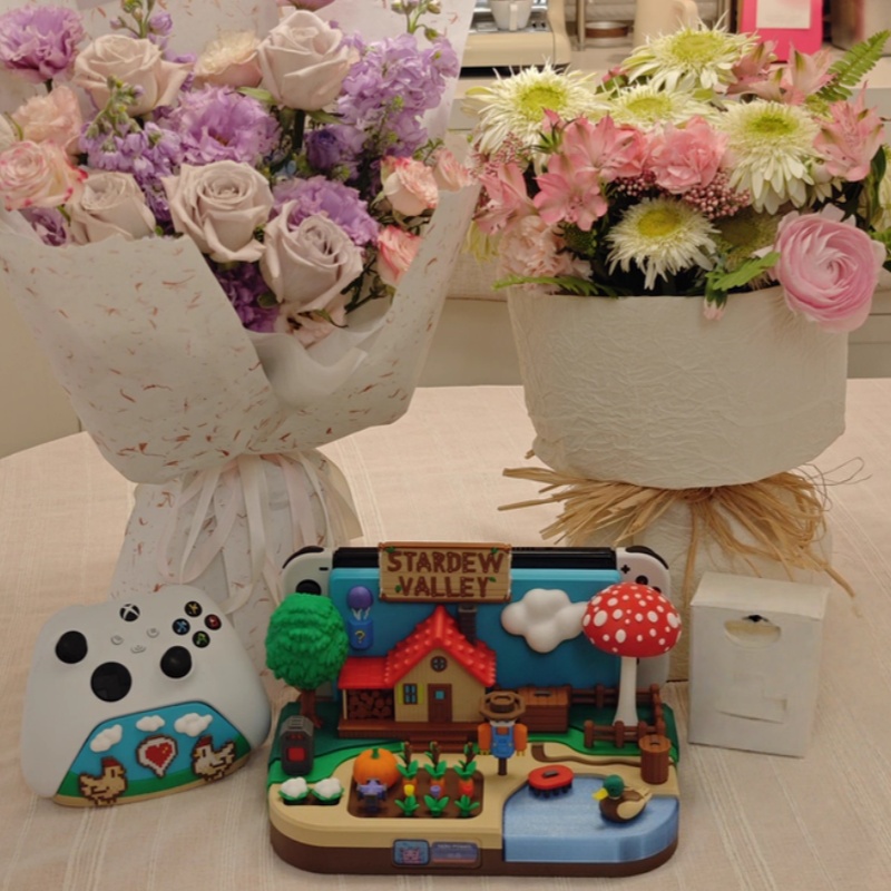 Switch Dock Stardew Valley Far - Gaming Console With recensie en prijs